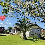 Camelia Casina Rural Holiday home *