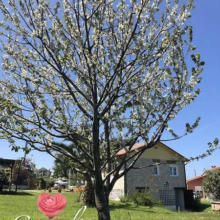 Camelia Casina Rural بيت للعطل