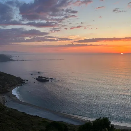 Camelia Casina Rural Albuerne