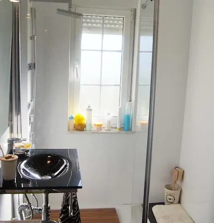 Camelia Casina Rural