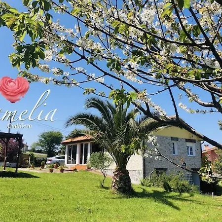 Camelia Casina Rural 펜션 *