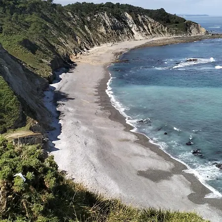 Camelia Casina Rural *