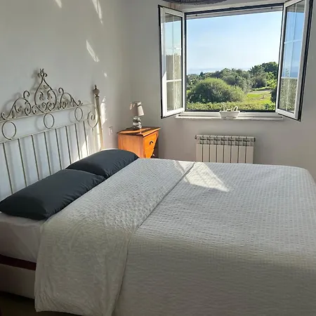 Camelia Casina Rural * Albuerne