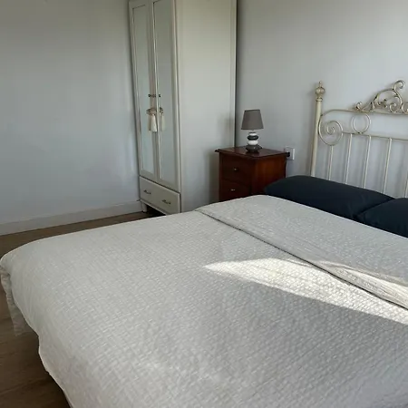 Camelia Casina Rural