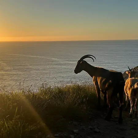 Casa vacanze Camelia Casina Rural Albuerne