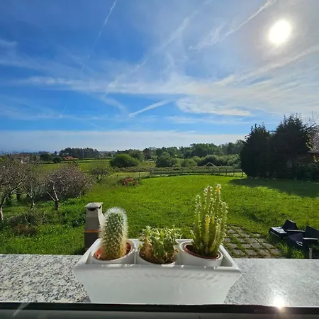 Camelia Casina Rural *